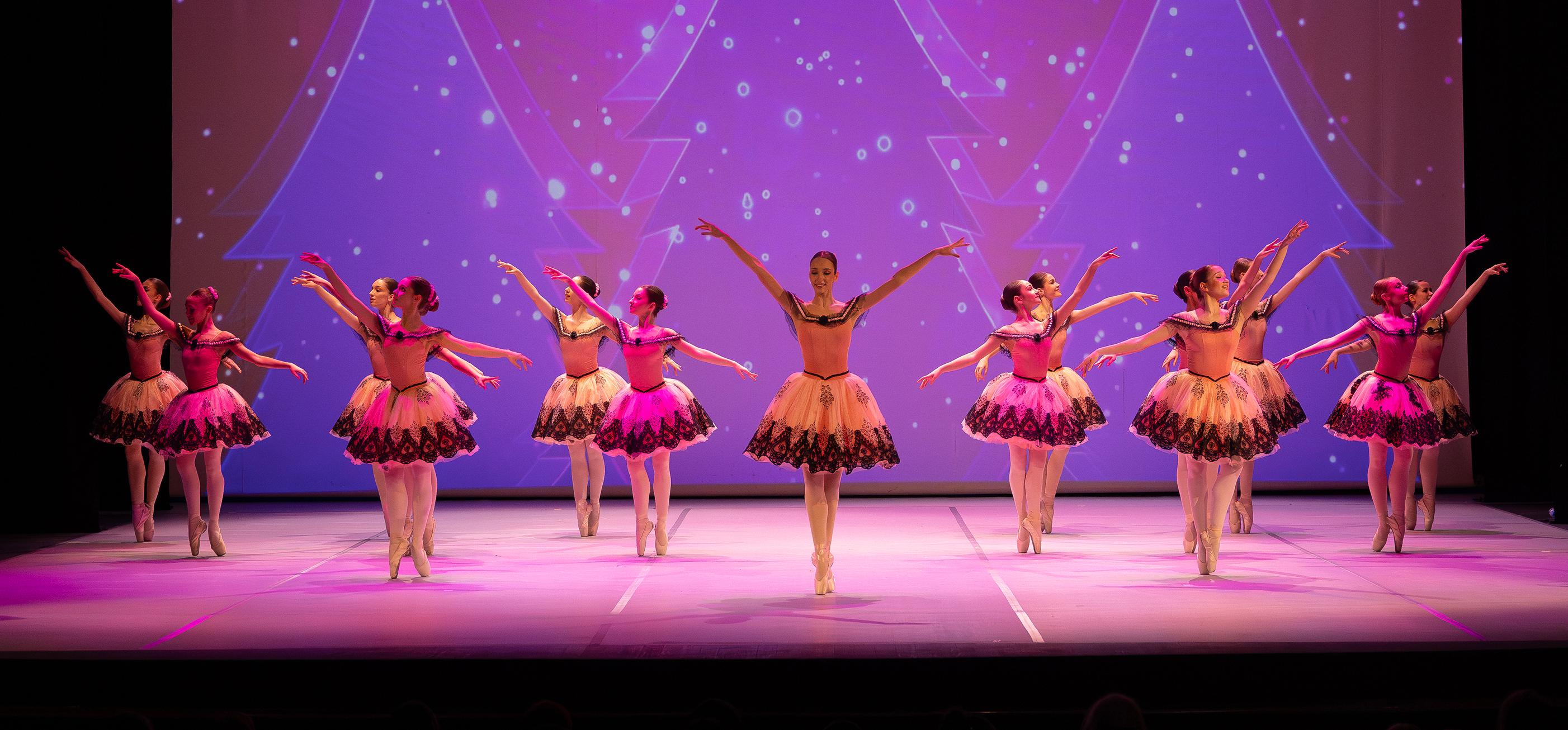 Fındıkkıran Süreyya'da